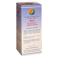 Msa Platanus Orienta 50 ml - Herboplanet