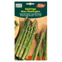 Sementes de Espargos Mary Washinton 5 g - Euro Garden