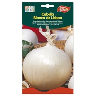 Sementes De Cebola Branca Grande Country 5 g - Euro Garden