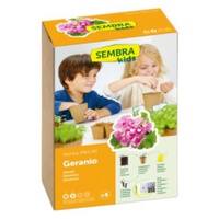 Sementes de Gerânio 1 unidade - Sembra