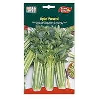 Sementes De Aipo Pascal Verde 3 g - Euro Garden