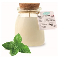 Vela Natural Aromatizada de Menta Modelo Pequeno 30h 120 g - Nao maintenant la nature !