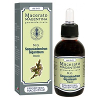 Sequoia Gigantea Macerated 1 L - Erboristeria Magentina