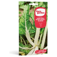 Semente de acelga verde Penca Blanca Ancha-Blanver 10 g - Euro Garden