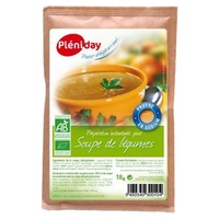 Sopa Instantânea de Legumes 18 g - Pleniday