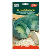 Sementes de Couve Couve Brunswick 6 g - Euro Garden