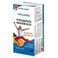 Vit&mine Vitaminas e Minerais 60 cápsulas - Vecteur Sante