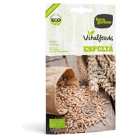 Soletrado Titan Vitalfoods 4 g - Euro Garden