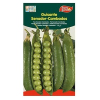 Sementes de Ervilha do Senador Cambados 35 g - Euro Garden