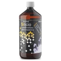 Venpharm Silício + Condroitina + Glucosamina 1 L - Venpharma