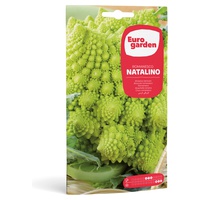 Romanesco Natalino 3 g - Euro Garden