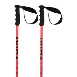 Volkl Speedstick Poles  120 cm