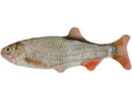 Peluche para Gato WILD LIFE COLLECTION Roach