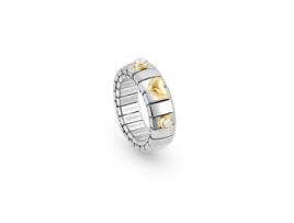 Nn F, Xte Ss Ring Heart 750 Gold, 2 Ston