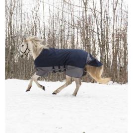 Equitheme Tyrex 600 D Belly Belt Polyfil 0g Stable Rug  175 cm