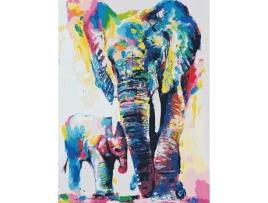 Tela FIGURED' ART Paint by Numbers - Aguarela De Elefante  - Figured' Art Pn1532-Y (51x2,5x41,3 cm)