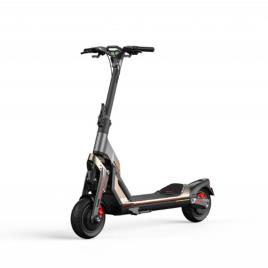 TROTINETE SEGWAY GT SERIES 2P