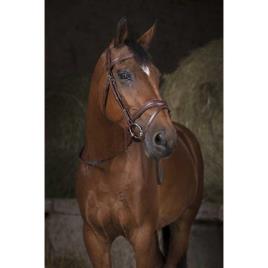 Norton Equestrian 16 Mm Canva Reins  Pony