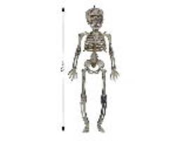 Esqueleto Pendurante Topbrands 30cm