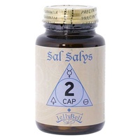 Sal Salys-90 2 Cap sais minerais 90 comprimidos - Jellybell