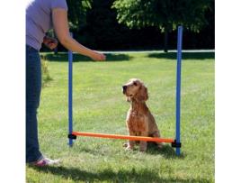 Equipamentos de Agilidade  3207