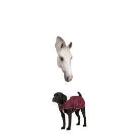 Diego & Louna Teddy Polar Dog Rug  31 cm