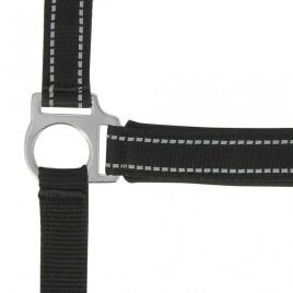 Norton Equestrian Reflective Halter Cinzento Full