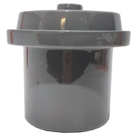 Fermentar jarra de cerâmica cinza 2 L 1 unidade - Schmitt