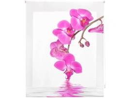 Estore de Rolo HAPPYSTOR Impressão Digital Zen HSCZ39344 95x250 cm