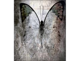 Estore de Rolo HAPPYSTOR Impressão Digital De Várias HSCV0853 195x250 cm