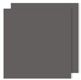 Cartolina CANSON Cinzento (50 x 65 cm - 25 Unidades - 240 g/m²)