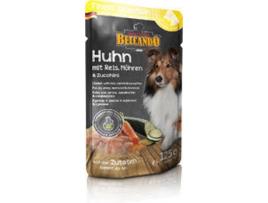Ração para Cães  (300g - Seca - Sabor: Frango)