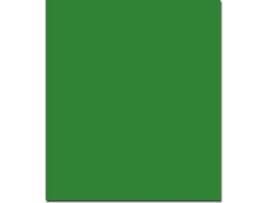 Cartolina Verde (50 x 65 cm - 1 Unidade - 250 g/m²)