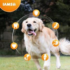 Ração para Cães IAMS Senior & Mature Pro Active (3 Kg)