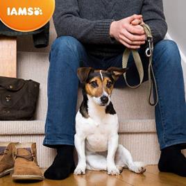Ração para Cães IAMS Senior & Mature Pro Active (3 Kg)