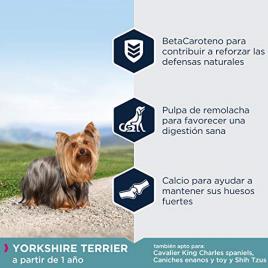 Ração para Cães EUKANUBA Yorkshire Terrier (2 Kg)