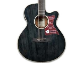 Tanglewood Tw4 Bs