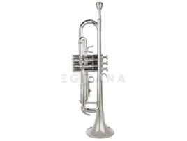 Wisemann Dtr-400 Sp