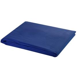 vidaXL Fundo fotográfico em algodão 600x300 cm chroma key azul