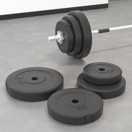vidaXL Discos de musculação 6 pcs 30 kg cimento