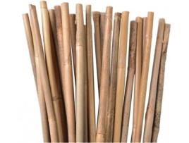 Varas de Bambú 50 Un SUINGA (90 Cm, Diâmetro 6-8 Mm)