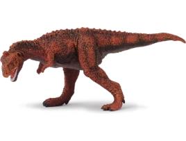 Figura  Majungatholus