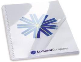 Capas para Encadernação  CE012080E A4 PVC Transparente (100 un)