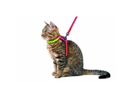 Arnês KERBL para Gato Rainbow (1 Unidades)