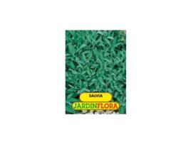 Sementes Salvia