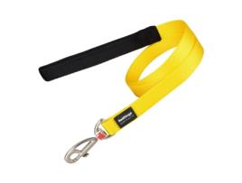 Trela RED DINGO (Multicor - - 2,5 x 120 cm)