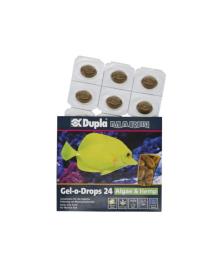 Dulpa Marin Gel-o-Drops 24 com Algas de Cânhamo