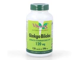 Suplemento Alimentar GINKGO Ginkgo Biloba 120 Cap 120 Mg Vbyotics