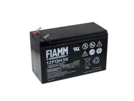 Bateria FIAMM HOCHSTROM-TYP para 12FGH36