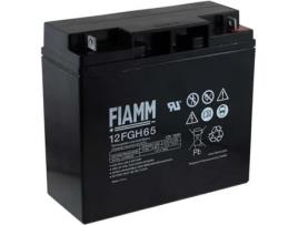 Bateria FIAMM HOCHSTROM-TYP para FGH21803